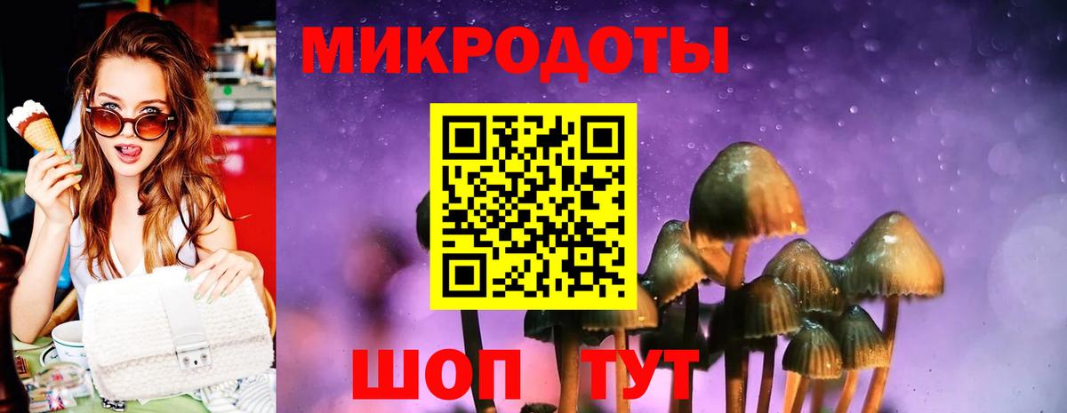 Псилоцибиновые грибы Cubensis Бахчисарай