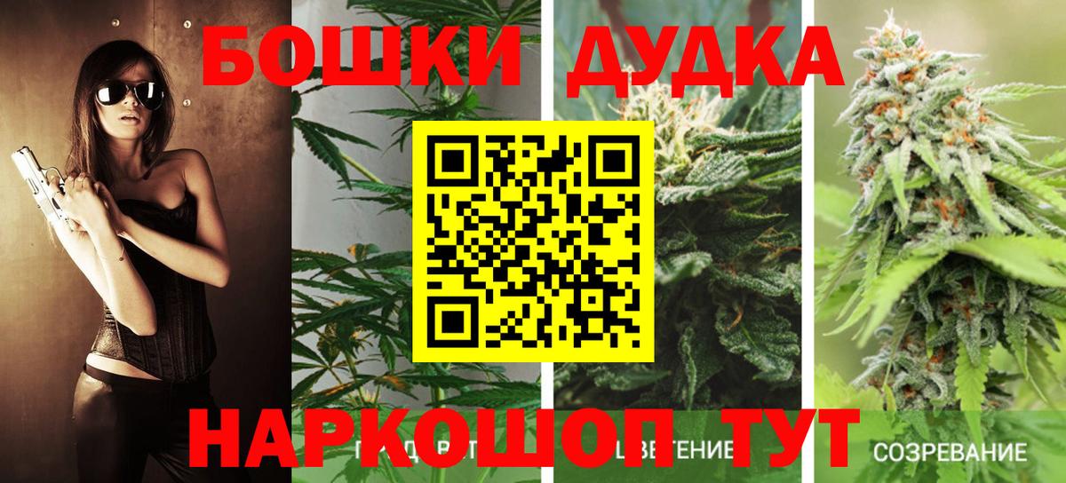 Бошки Шишки индика  Вход с VPN  Канабис гибрид  Бахчисарай 